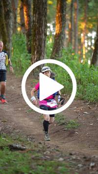 BIB:  <button type="button" onclick="openModal(27341066)" class="btn btn-primary btn-sm float-right" data-toggle="modal" data-target=".modal-high-quality">
                <i class="fa fa-download"></i> Download
                </button>